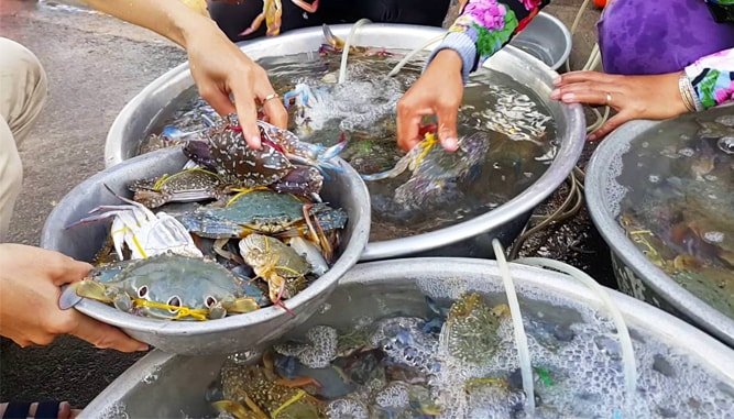 địa chỉ mua hải sản tươi sống ở Đà Nẵng