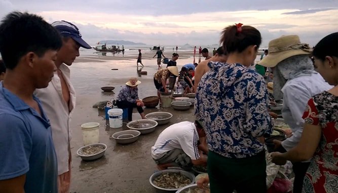 Chợ hải sản ven biển 