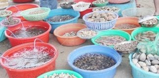 chợ hải sản ăn liền Đà Nẵng