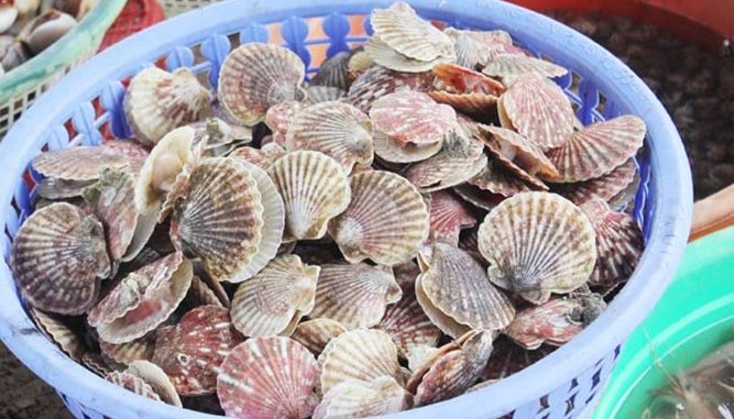 chợ hải sản ăn liền Đà Nẵng