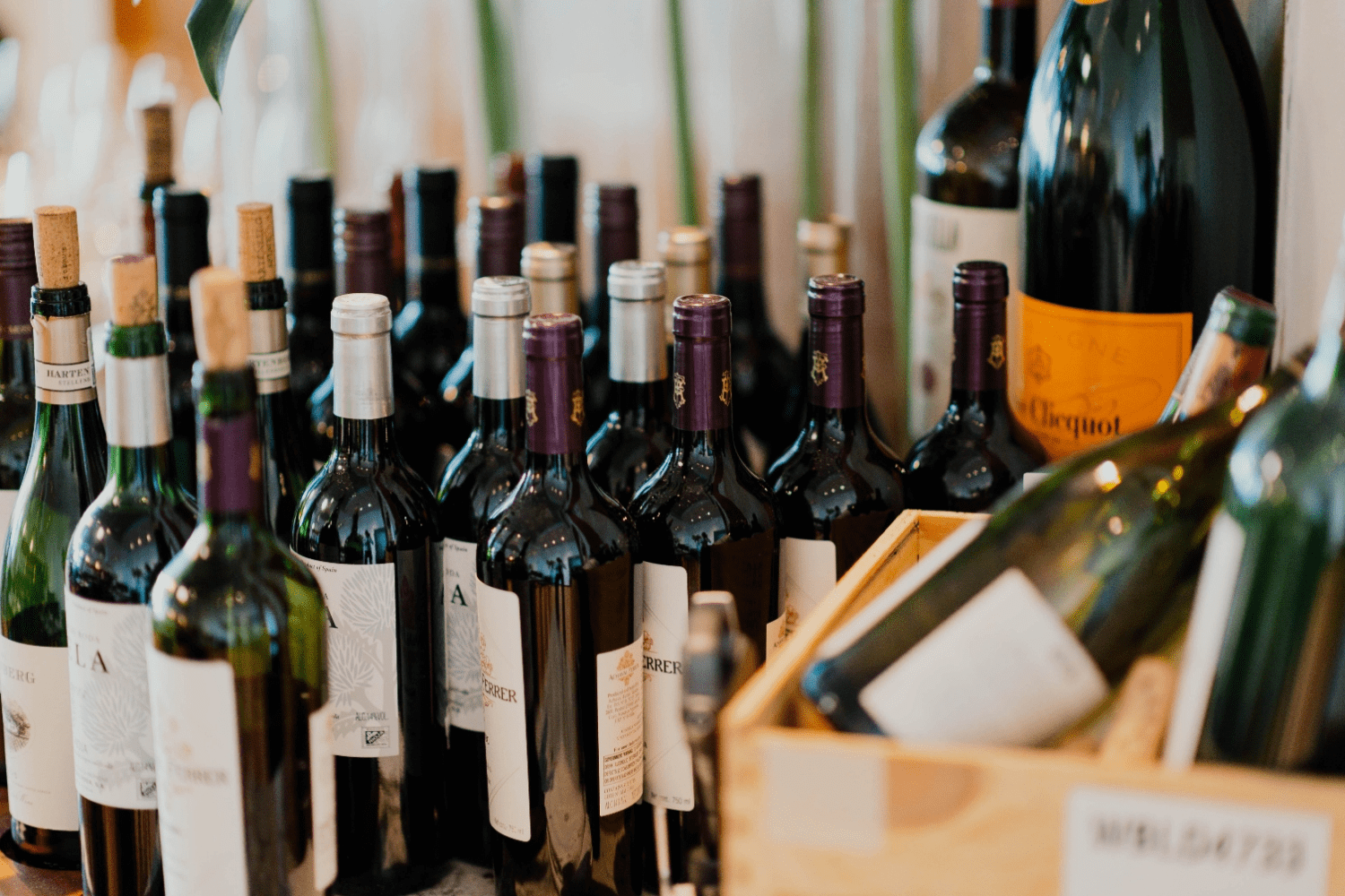 Top 10 Địa chỉ bán Rượu Vang – Rượu Ngoại Chính hãng Uy Tín